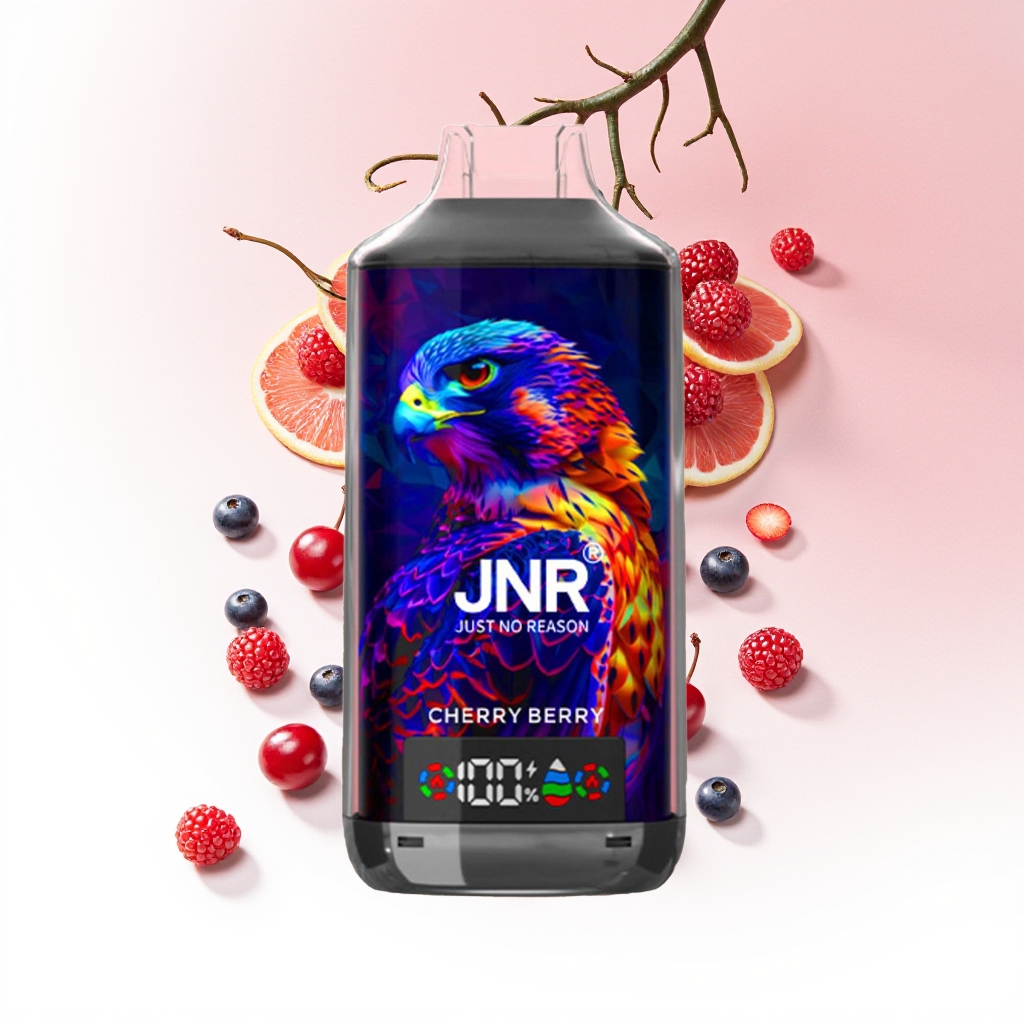 JNR Falcon X 18000 Puffs Disposable Vape - Image 15